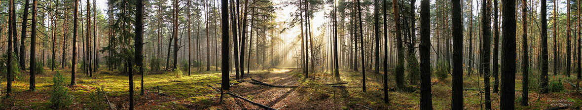 акция на летний лагерь